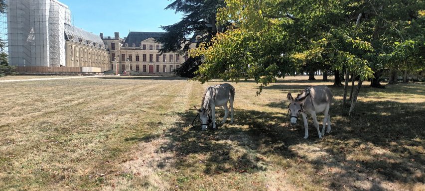 Au château de Oiron